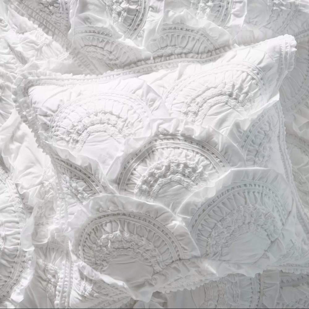 Anthropologie Rivulets Euro Sham White set of 2